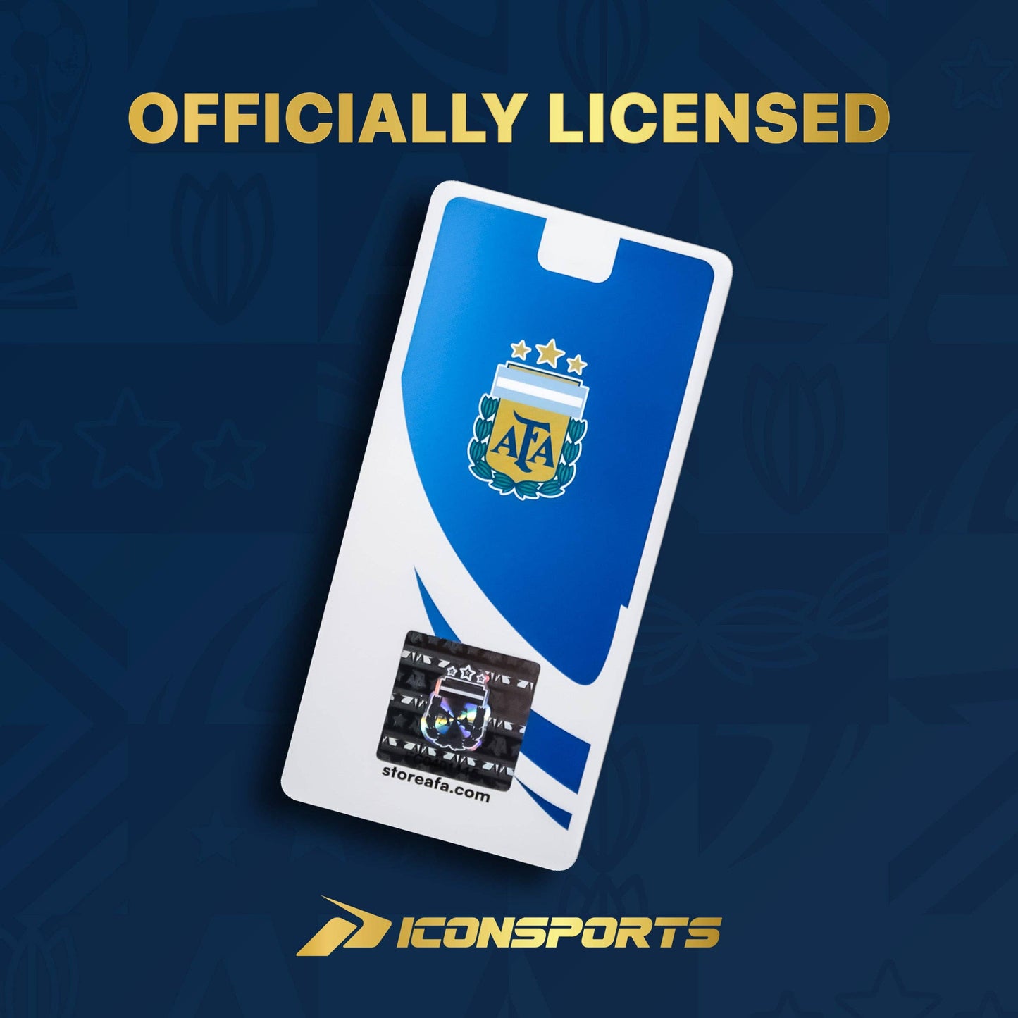 Argentina Lionel Messi Soccer Ball - AFA090BL