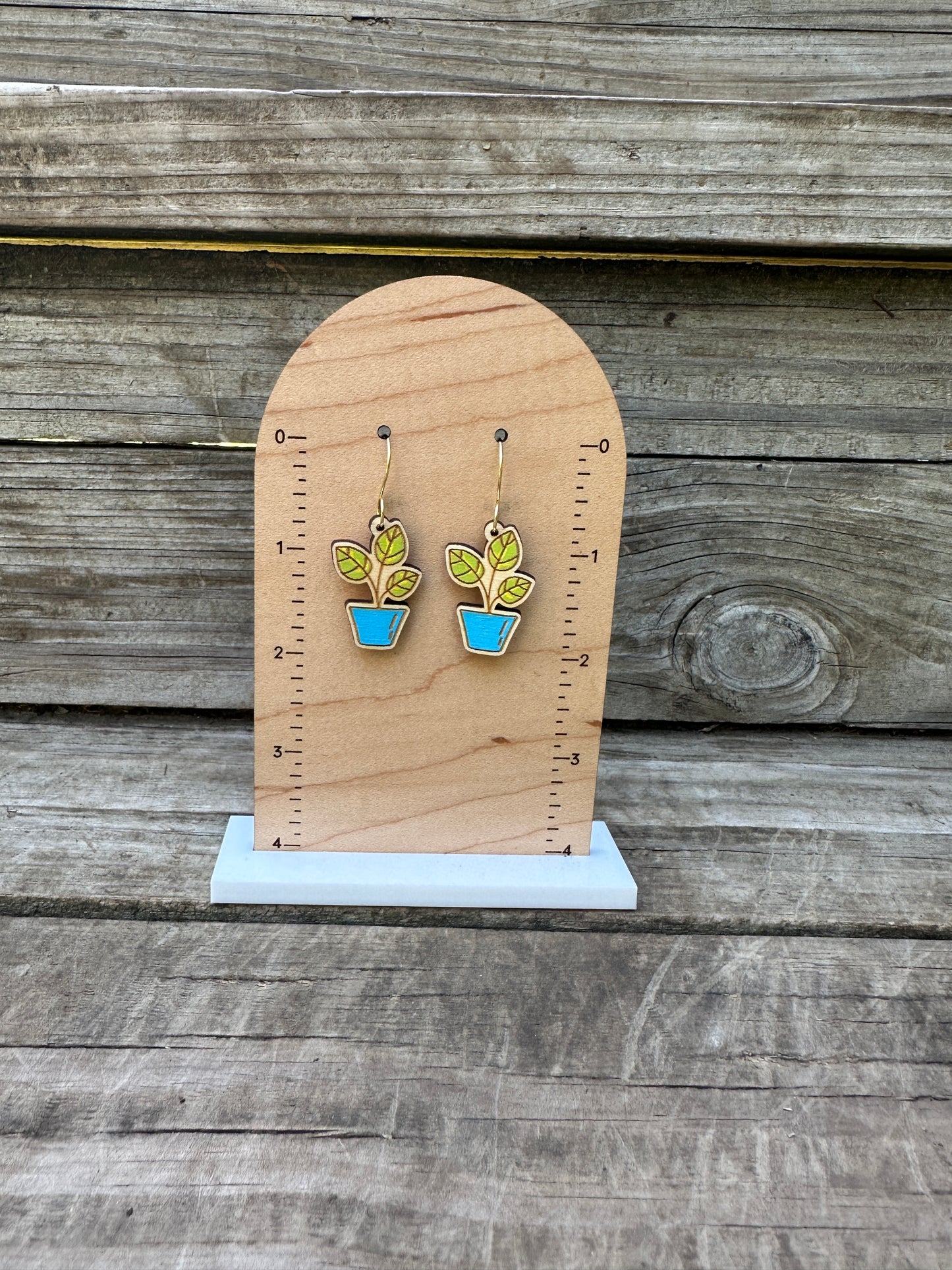 House Plant Dangle Earrings