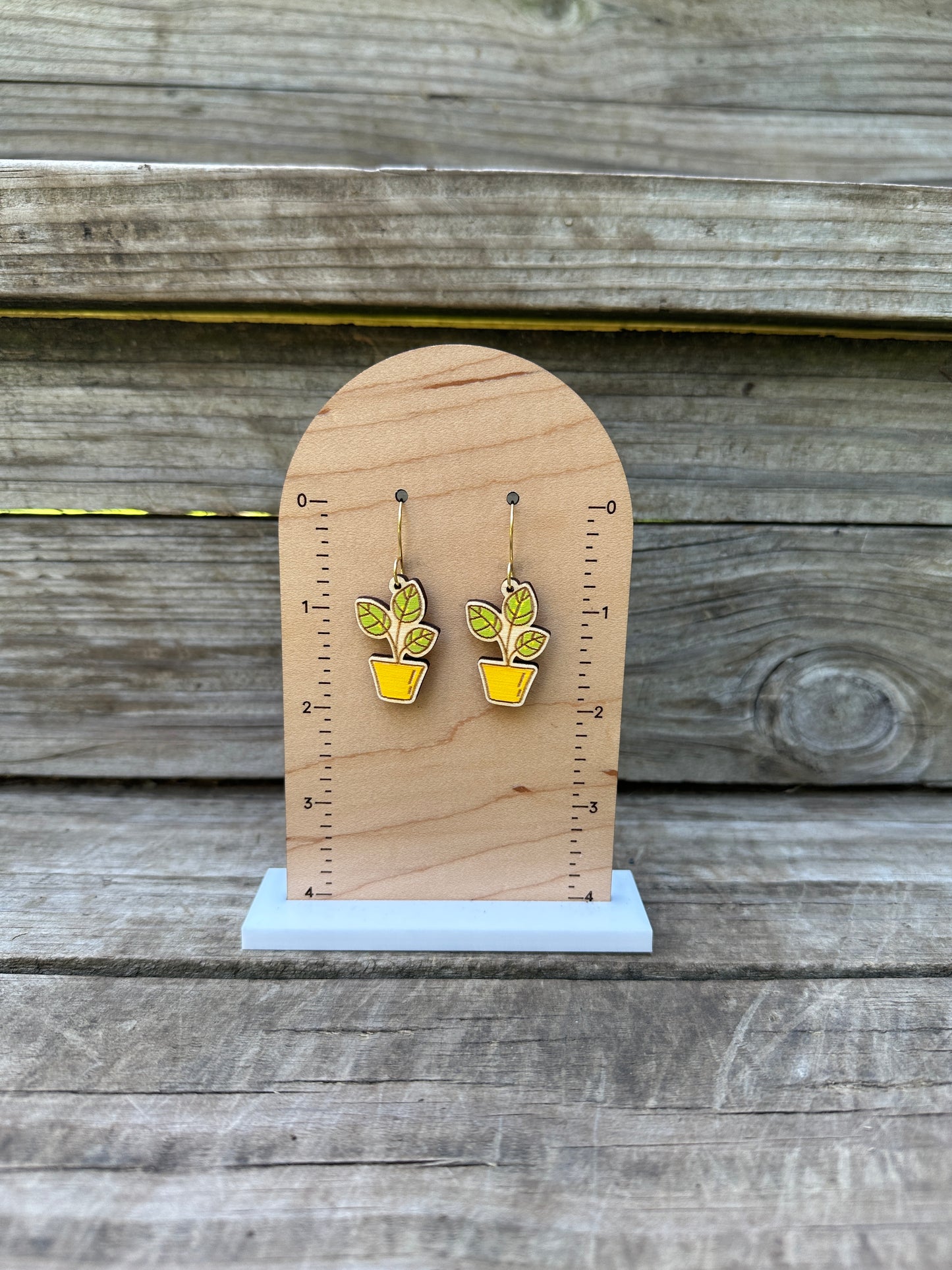 House Plant Dangle Earrings