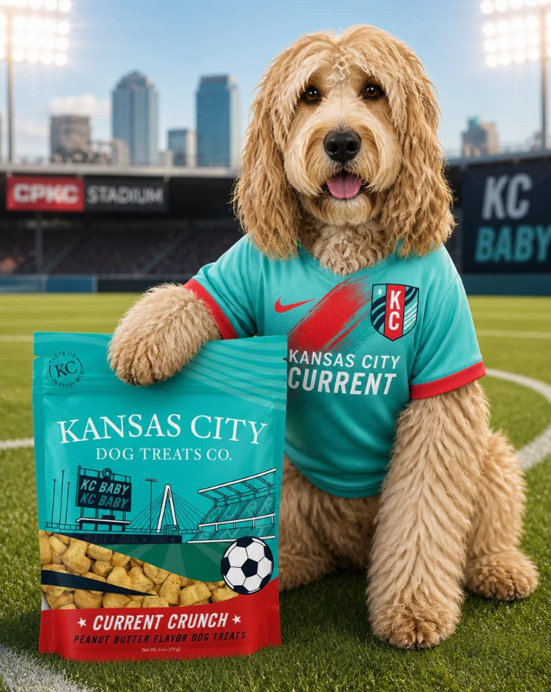 Current Crunch Dog Treats
