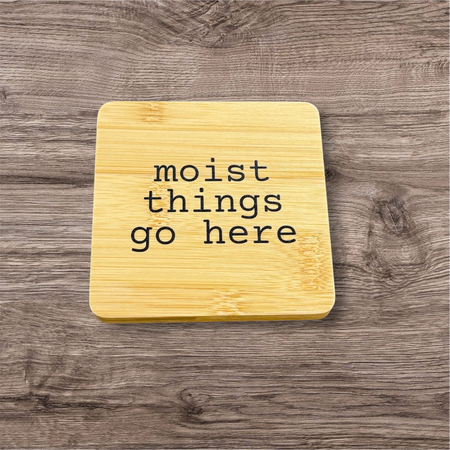 Moist Things Go Here Coaster
