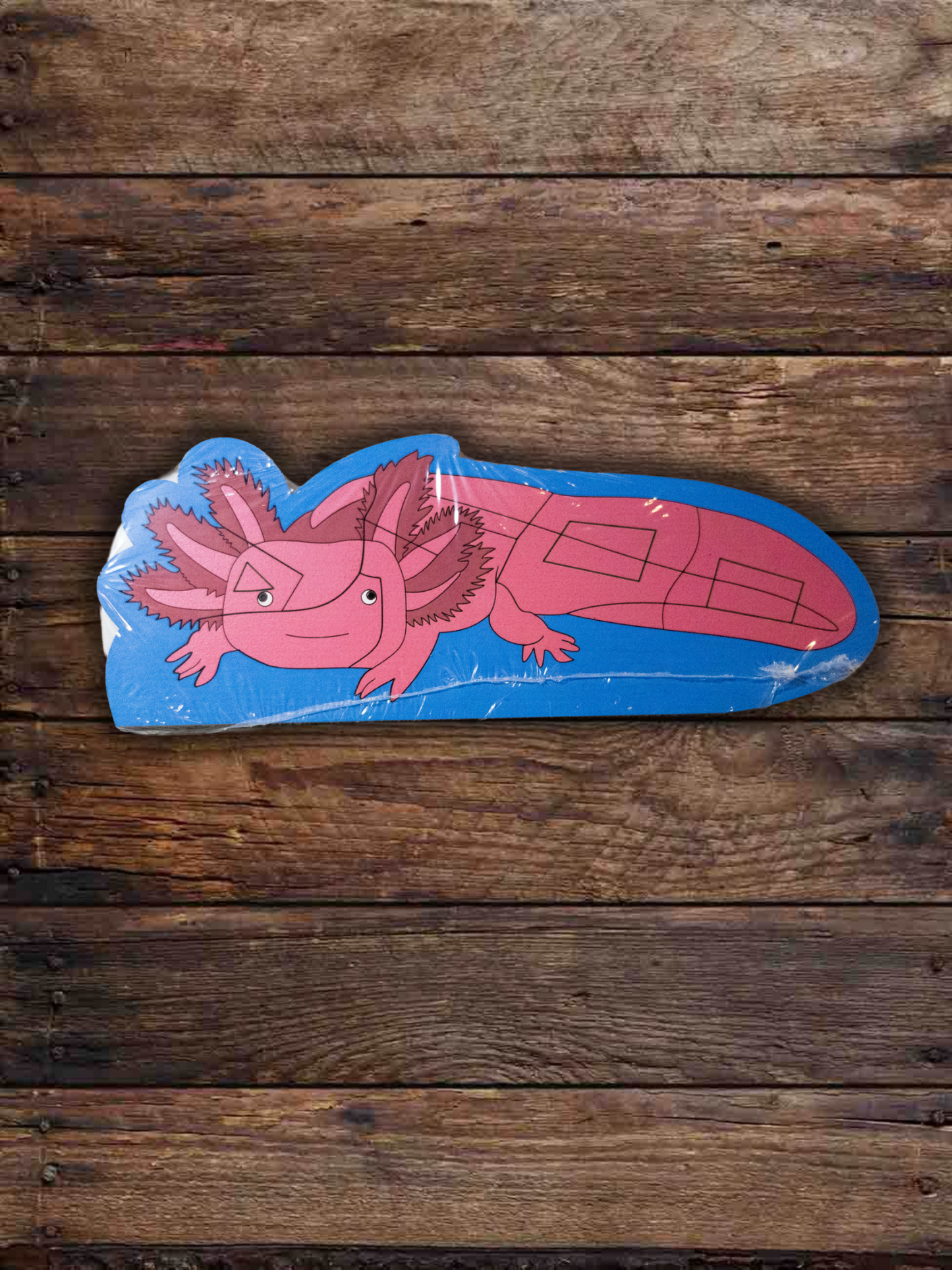 6962d7ad3c88180e99189941_axolotl-painted_1785640720048.png