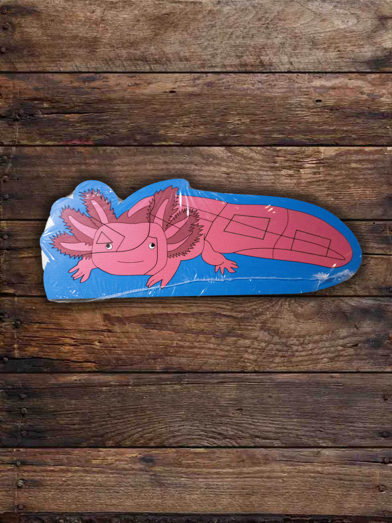 6962d7ad3c88180e99189941_axolotl-painted_1785640720048.png
