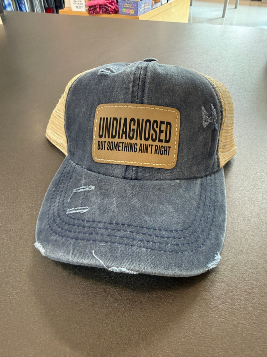 Undiagnosed Ponytail Hat