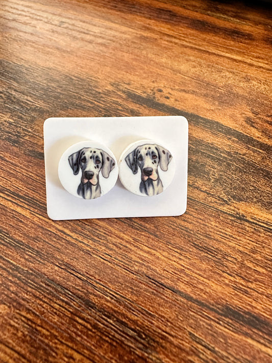 Sublimated Great Dane Acrylic Stud Earrings