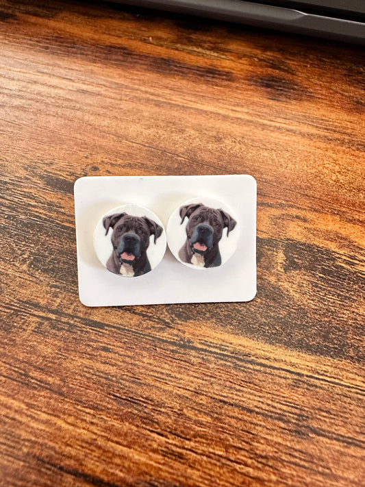 Sublimated Staffordshire Bull Terrior Acrylic Stud Earrings