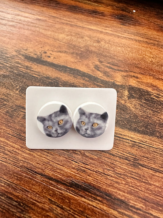 Sublimated Grey Cat Acrylic Stud Earrings
