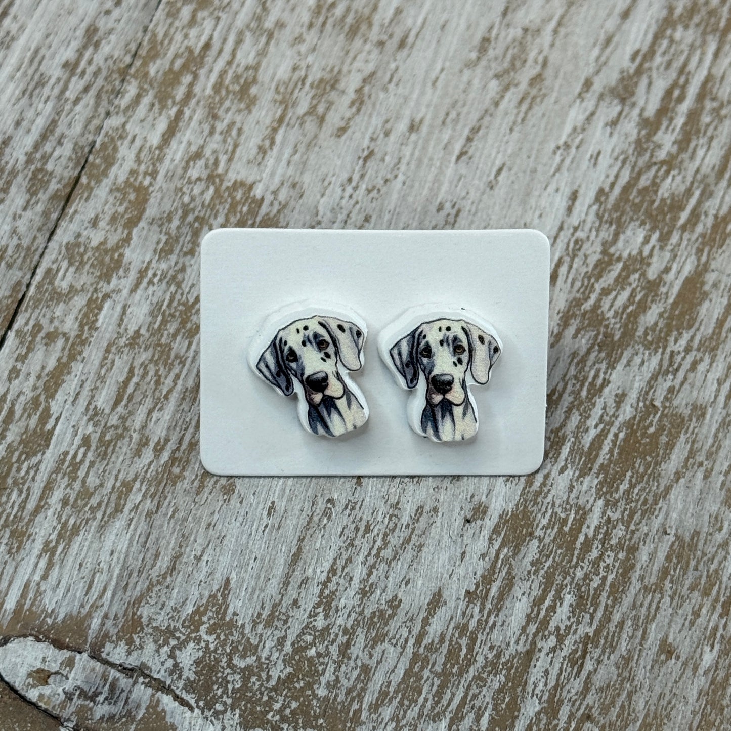 UV Printed Dainty Danes Acrylic Stud Earrings