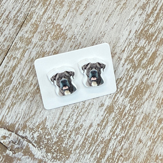 UV Printed Wrinkle Royalty Acrylic Stud Earrings