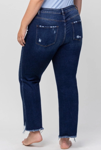 Plus Size High Rise Ankle Flare Jeans