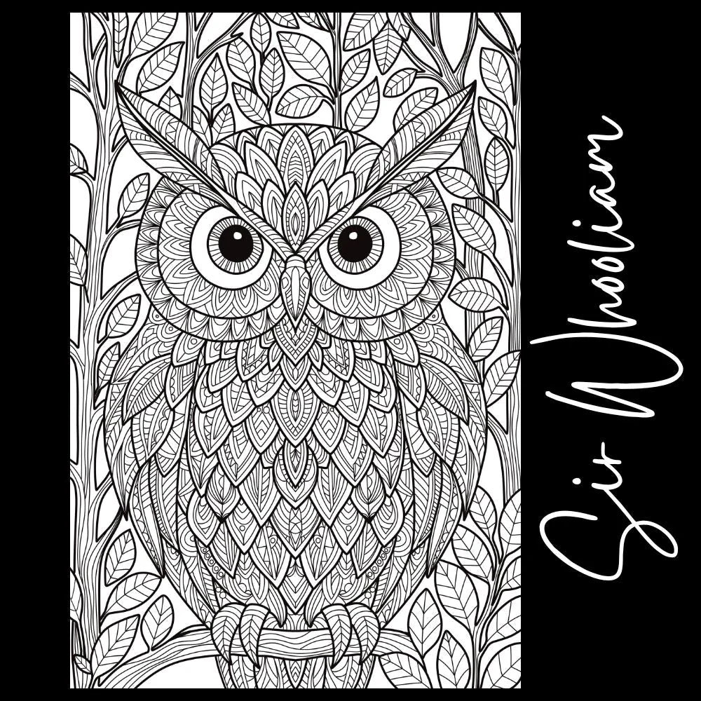Owl Coloring Page