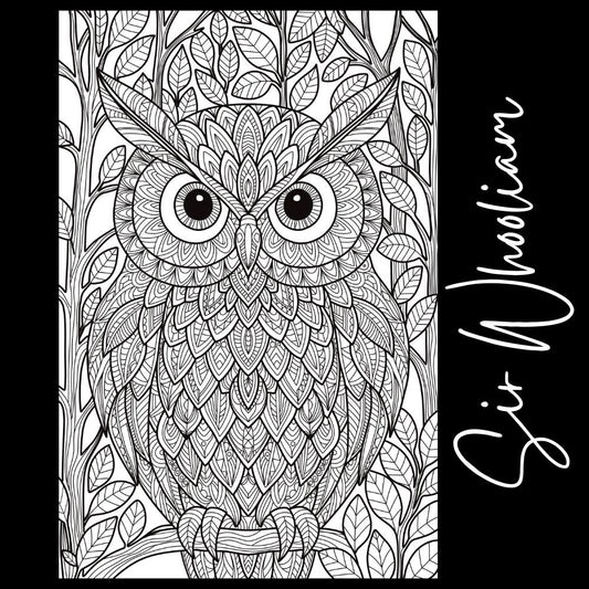 Owl Coloring Page